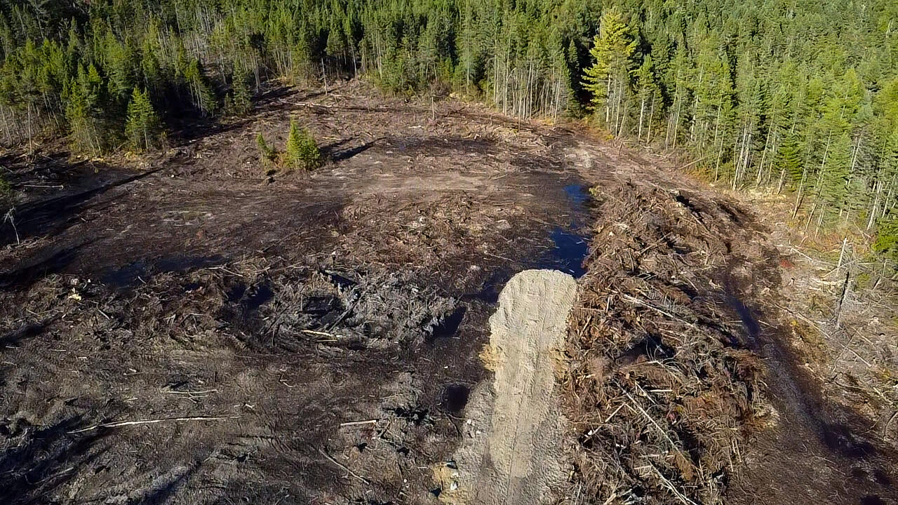 Map 06 Lots #16, 16-2, 16-3 Cutler Road Cutler ME 04626