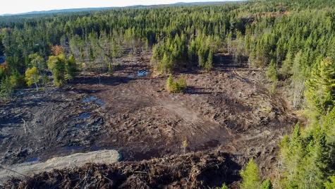 Map 06 Lots #16, 16-2, 16-3 Cutler Road Cutler ME 04626