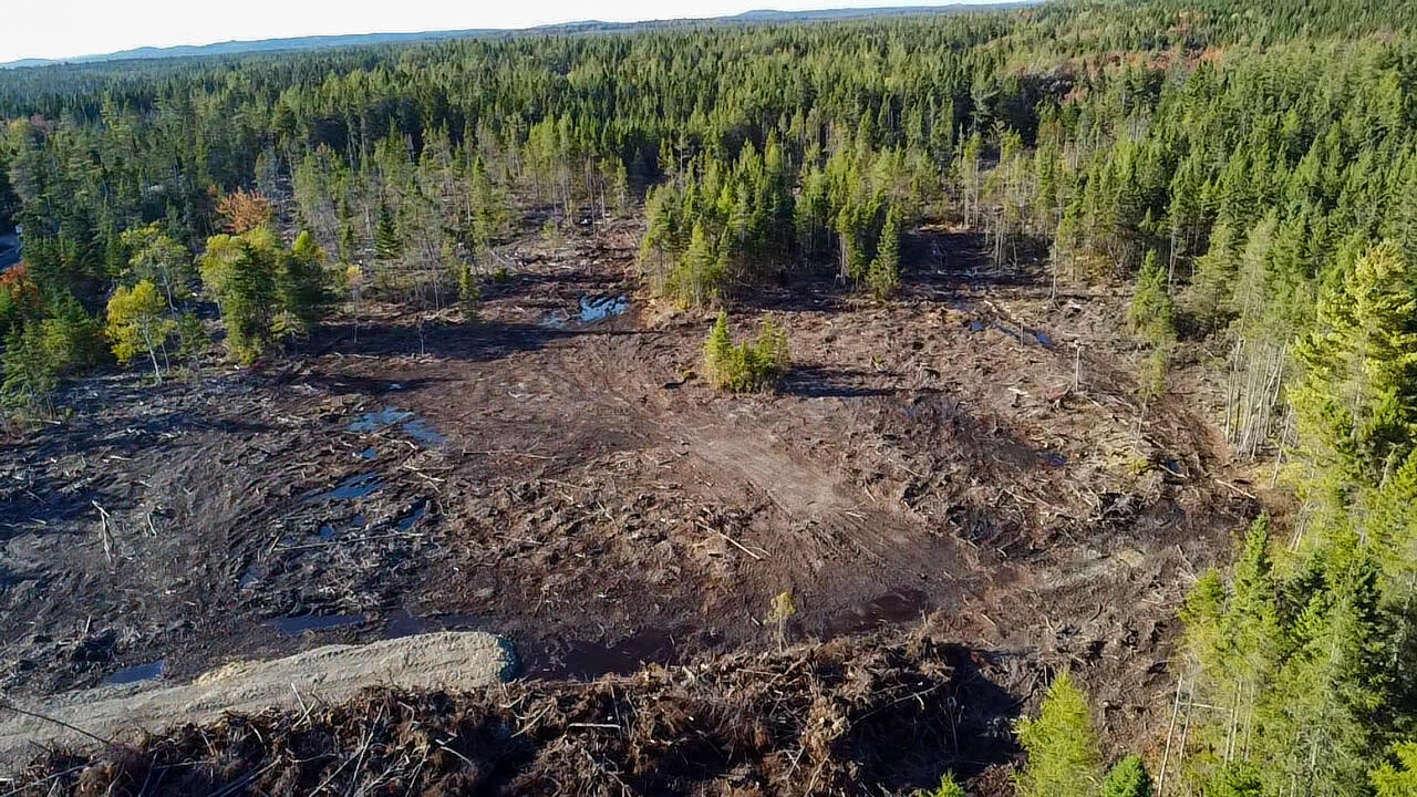 Map 06 Lots #16, 16-2, 16-3 Cutler Road Cutler ME 04626