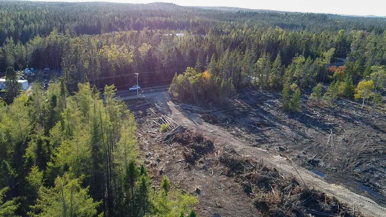 Map 06 Lots #16, 16-2, 16-3 Cutler Road Cutler ME 04626