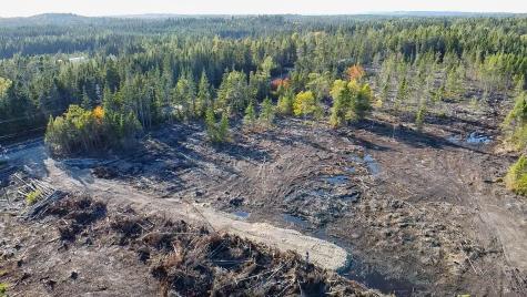 Map 06 Lots #16, 16-2, 16-3 Cutler Road Cutler ME 04626