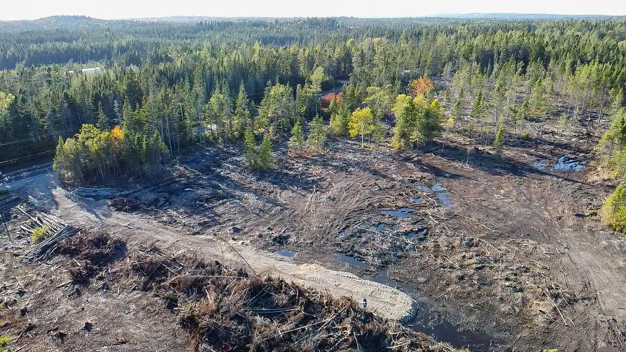 Map 06 Lots #16, 16-2, 16-3 Cutler Road Cutler ME 04626