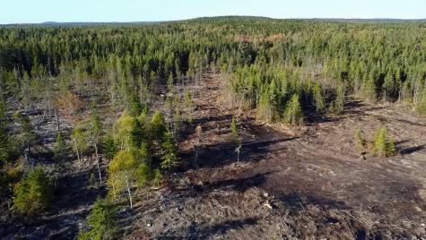 Map 06 Lots #16, 16-2, 16-3 Cutler Road Cutler ME 04626