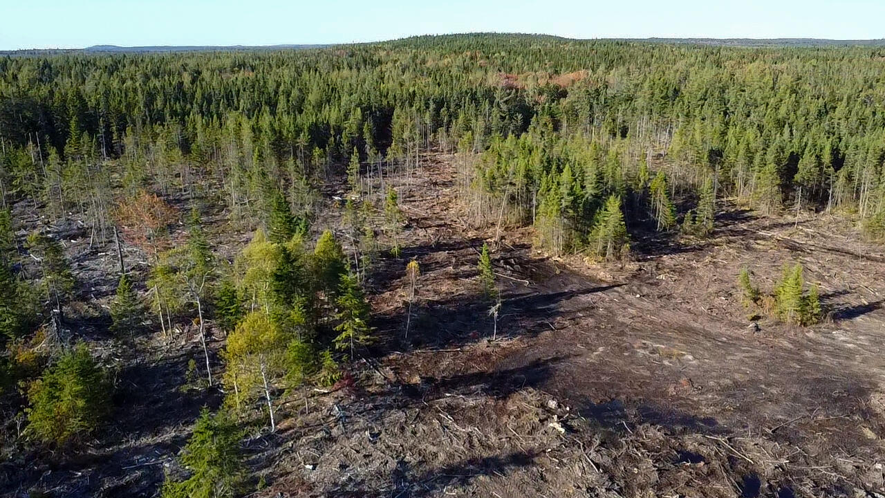 Map 06 Lots #16, 16-2, 16-3 Cutler Road Cutler ME 04626