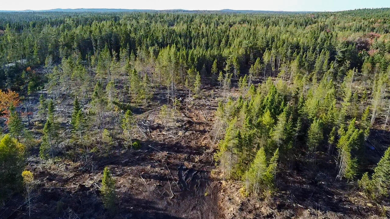 Map 06 Lots #16, 16-2, 16-3 Cutler Road Cutler ME 04626