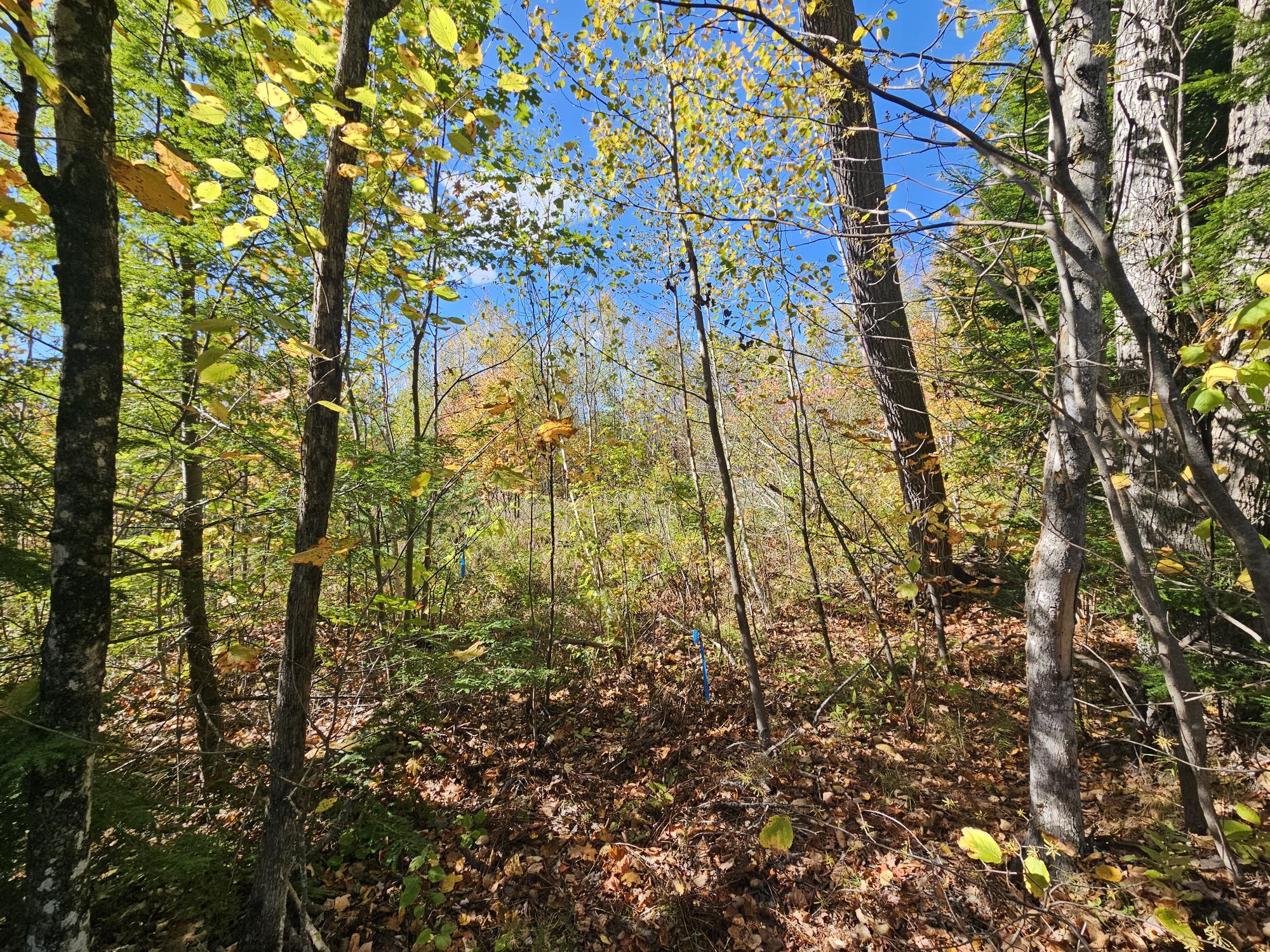 059-007 Soper's Mill Road Auburn ME 04210