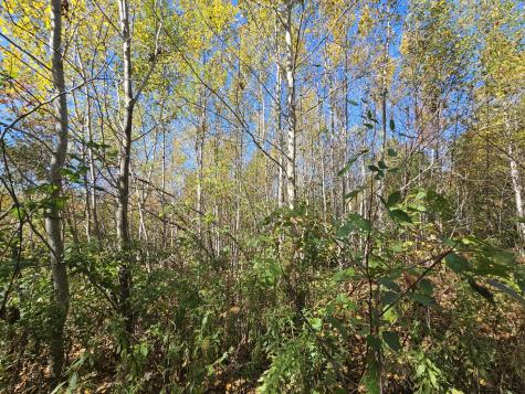 059-007 Soper's Mill Road Auburn ME 04210