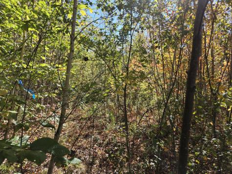 059-007 Soper's Mill Road Auburn ME 04210