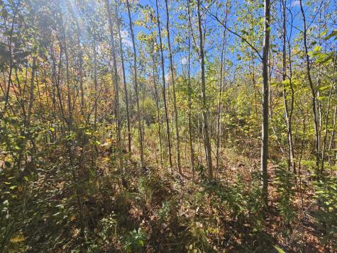 059-007 Soper's Mill Road Auburn ME 04210