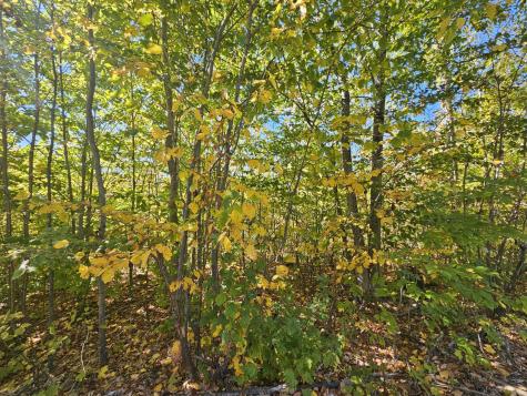 059-007 Soper's Mill Road Auburn ME 04210