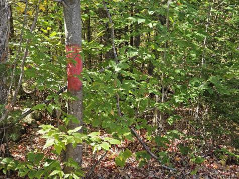 059-007 Soper's Mill Road Auburn ME 04210