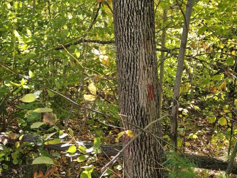 059-007 Soper's Mill Road Auburn ME 04210