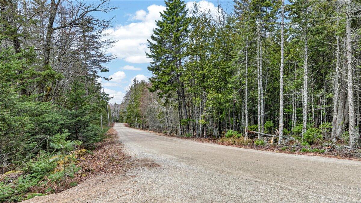 35 Aspen Lane Steuben ME 04680