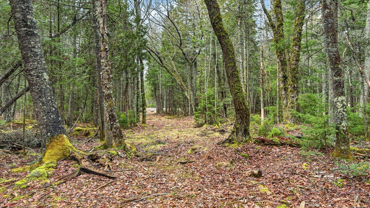35 Aspen Lane Steuben ME 04680