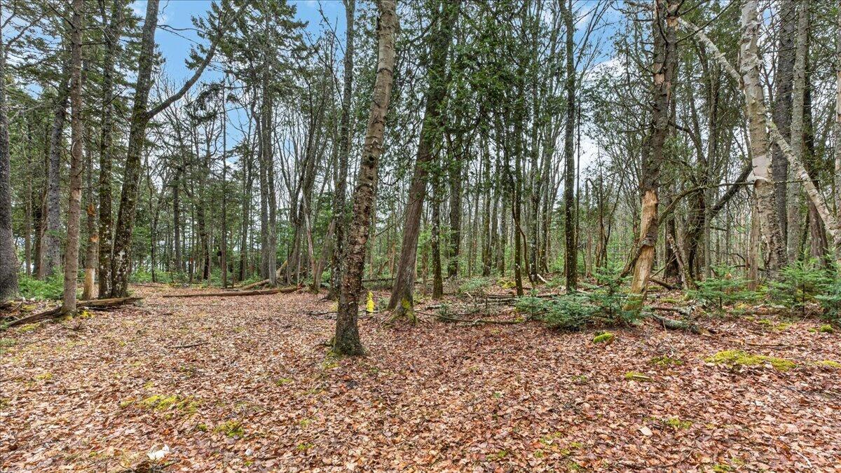 35 Aspen Lane Steuben ME 04680