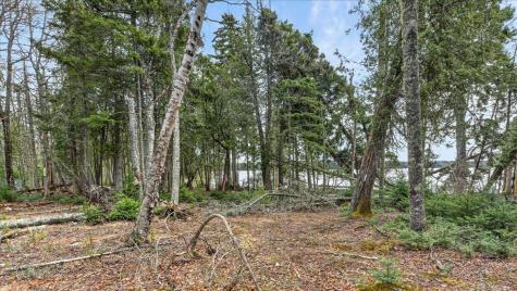 35 Aspen Lane Steuben ME 04680