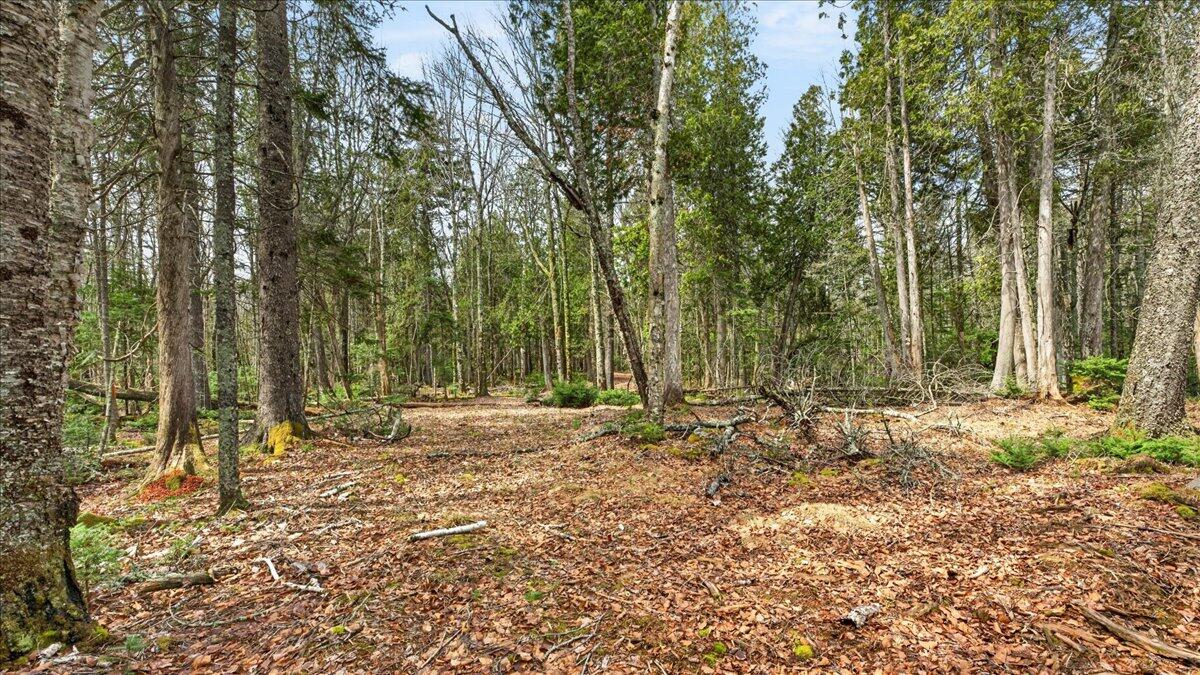 35 Aspen Lane Steuben ME 04680
