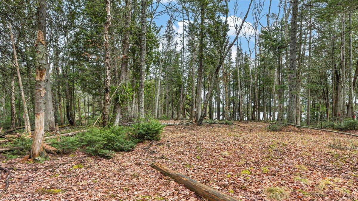 35 Aspen Lane Steuben ME 04680