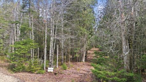 35 Aspen Lane Steuben ME 04680