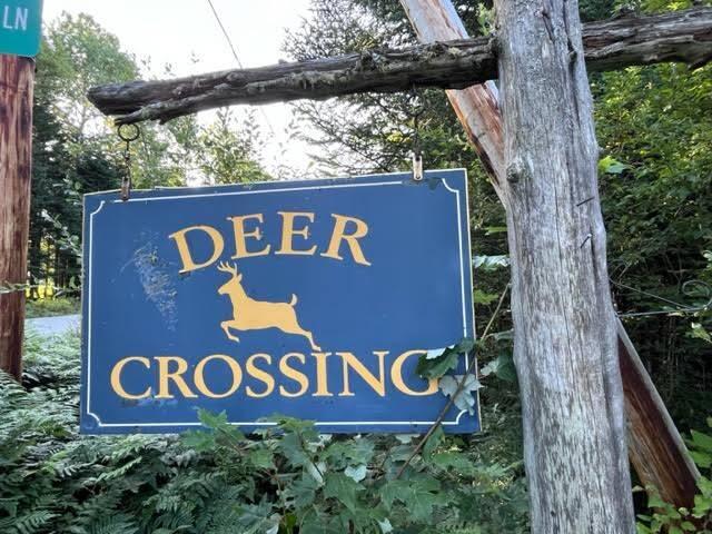 Lot 12 Doe Path Rangeley ME 04970