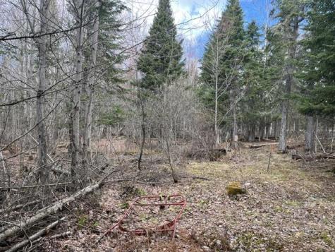 Lot 12 Doe Path Rangeley ME 04970