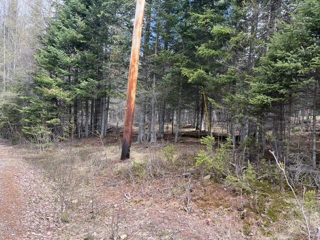 Lot 12 Doe Path Rangeley ME 04970