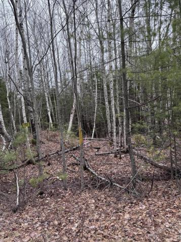 24 Wolf Run Trail Greenbush ME 04418