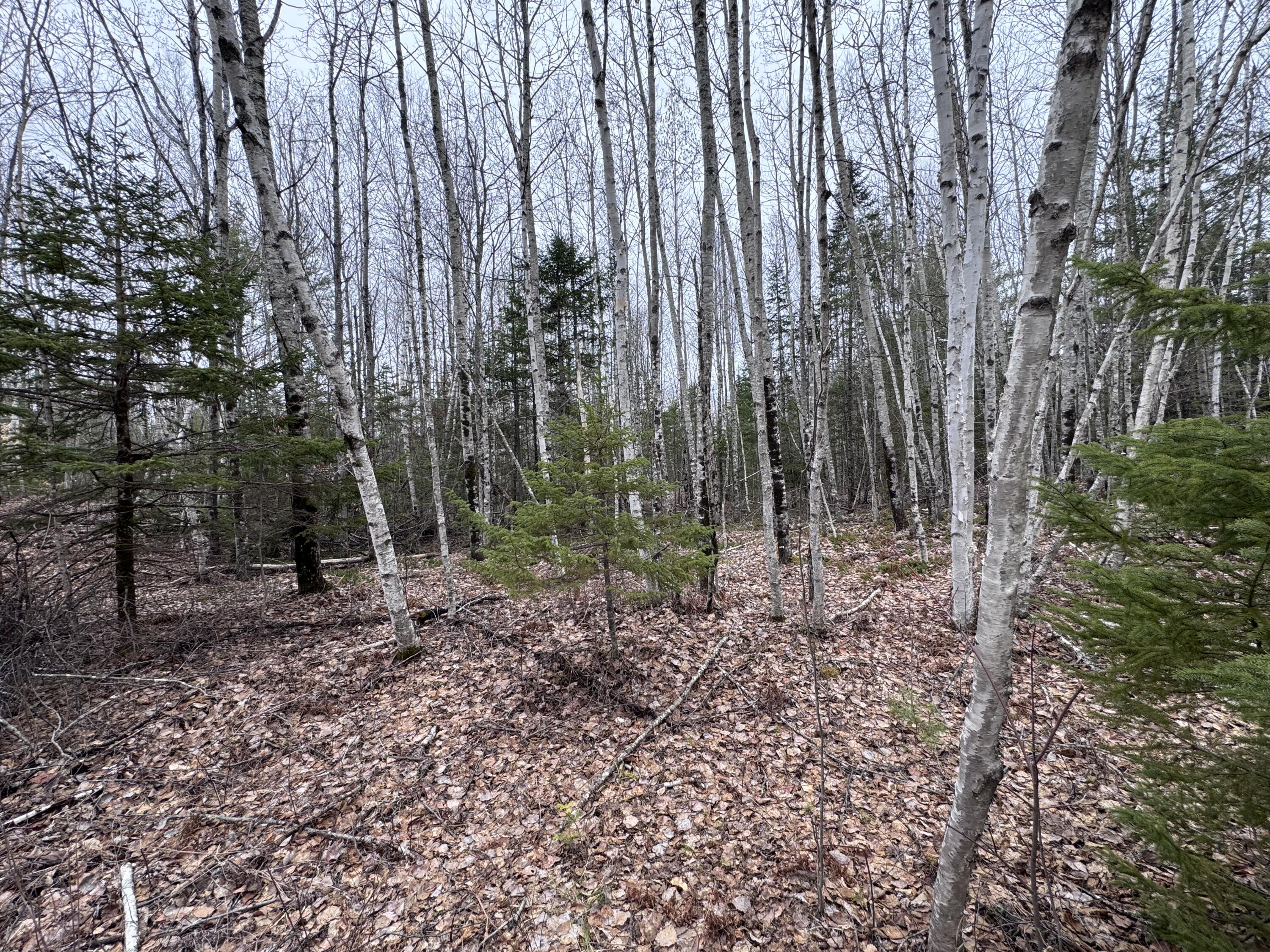 24 Wolf Run Trail Greenbush ME 04418