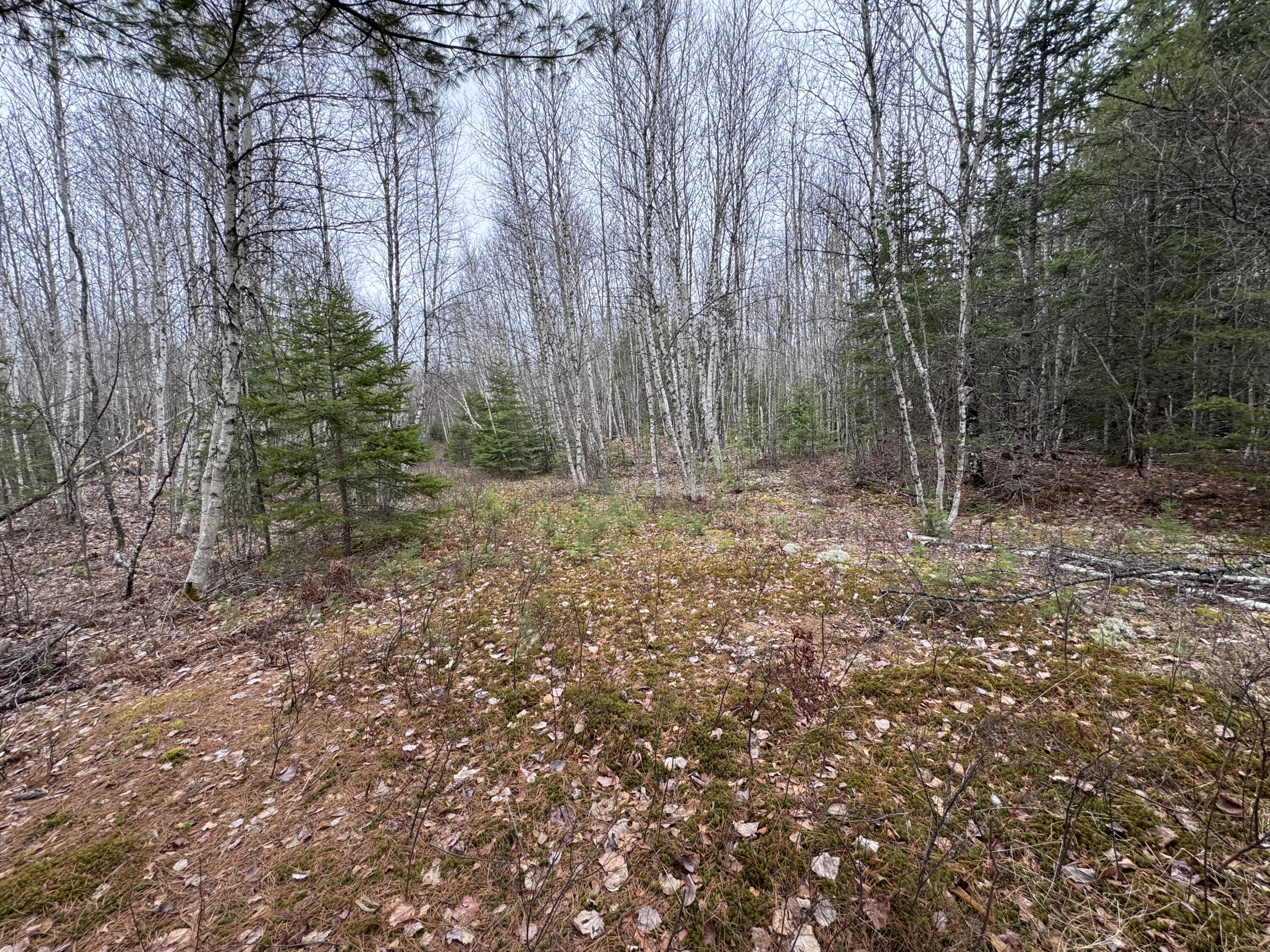 24 Wolf Run Trail Greenbush ME 04418
