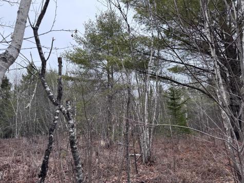 24 Wolf Run Trail Greenbush ME 04418