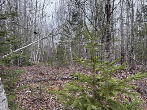 24 Wolf Run Trail Greenbush ME 04418