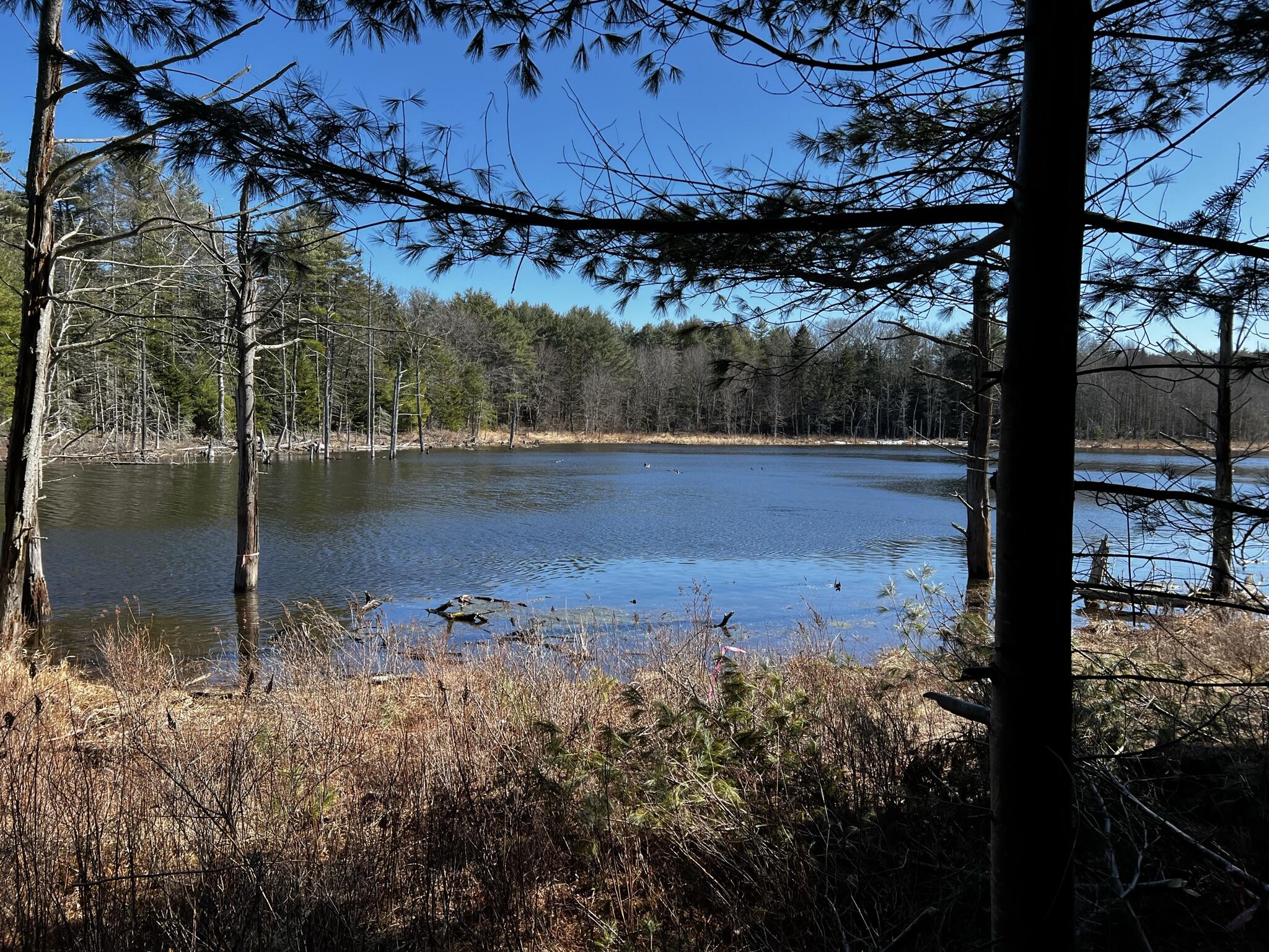 Lot 105 Murphy Road Boothbay ME 04537