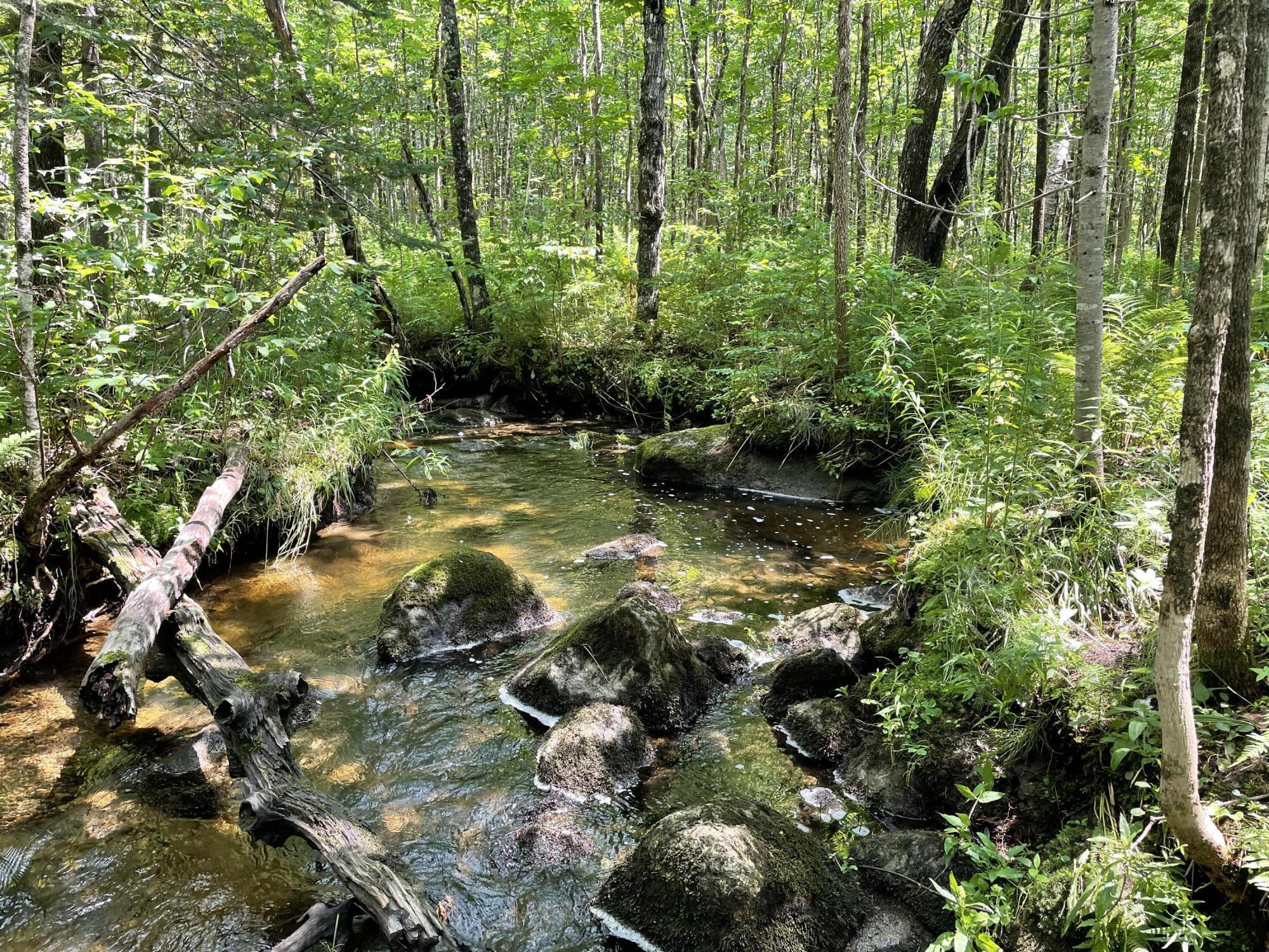 53.1 Center Hill Road Weld ME 04285