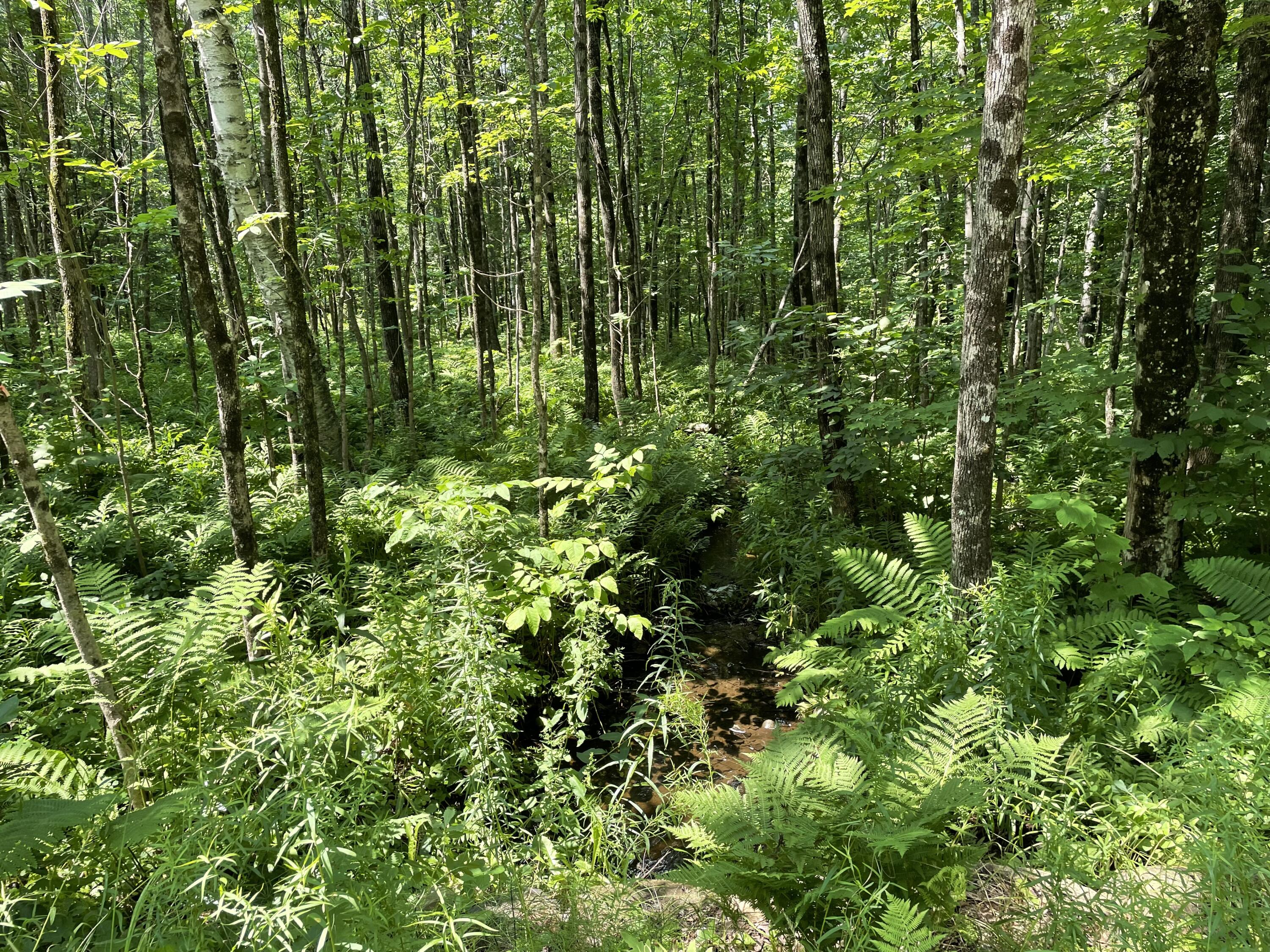 53.1 Center Hill Road Weld ME 04285