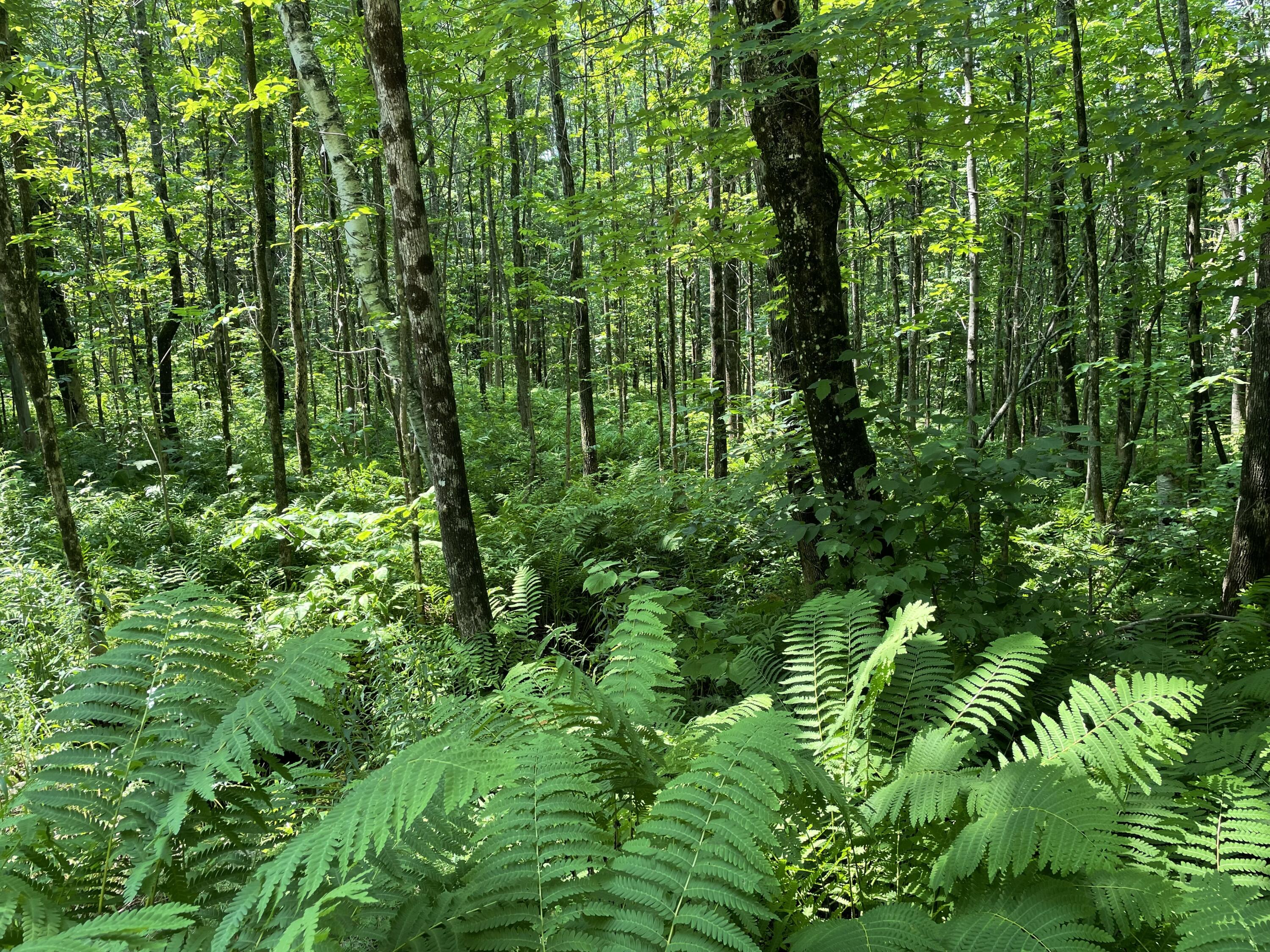 53.1 Center Hill Road Weld ME 04285