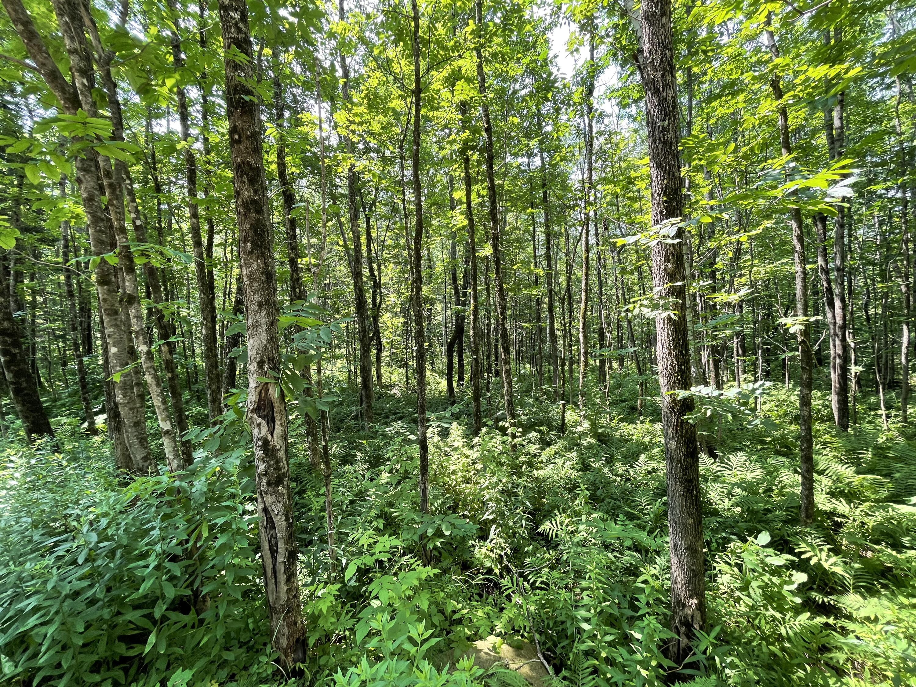 53.1 Center Hill Road Weld ME 04285