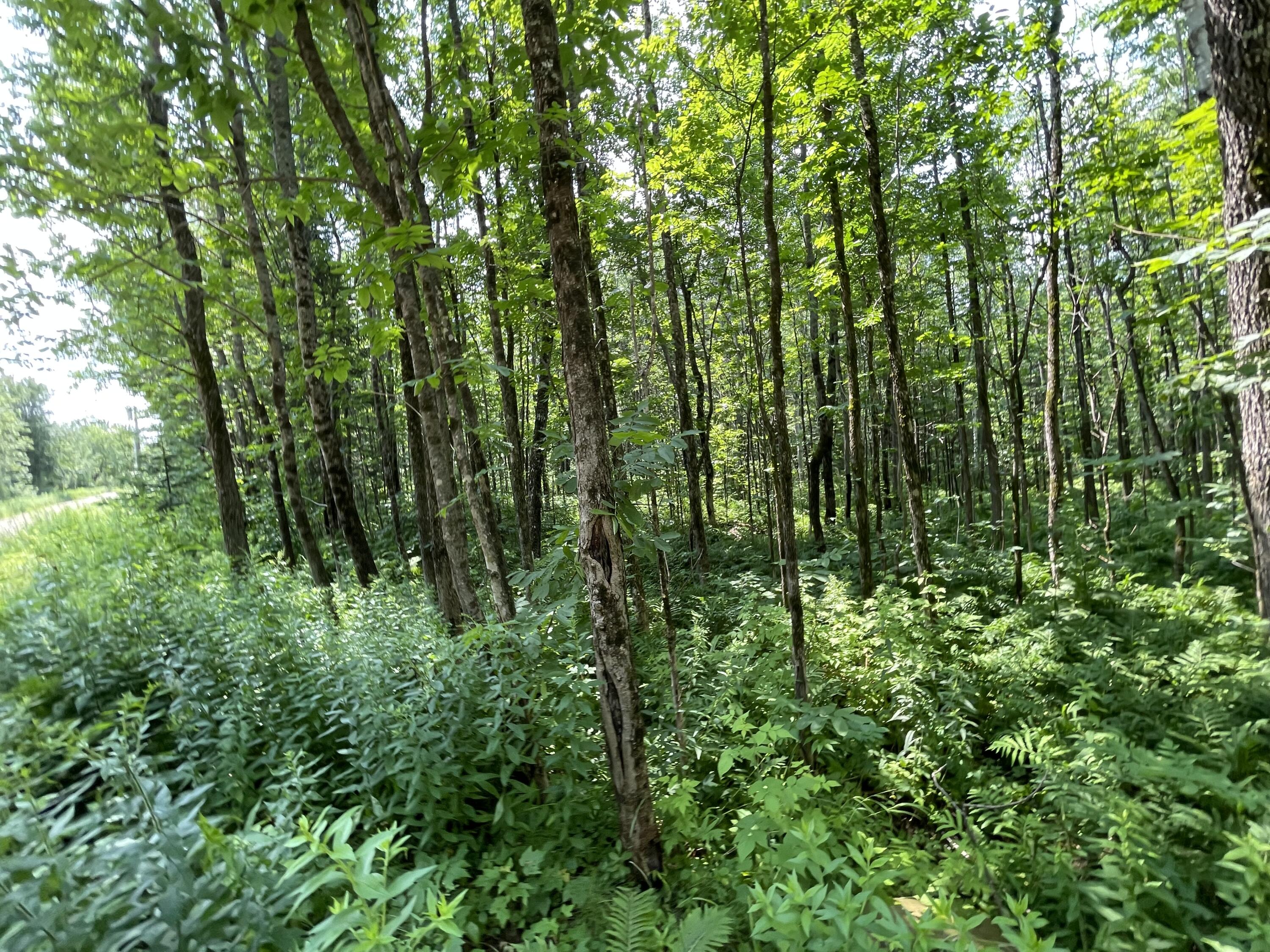 53.1 Center Hill Road Weld ME 04285