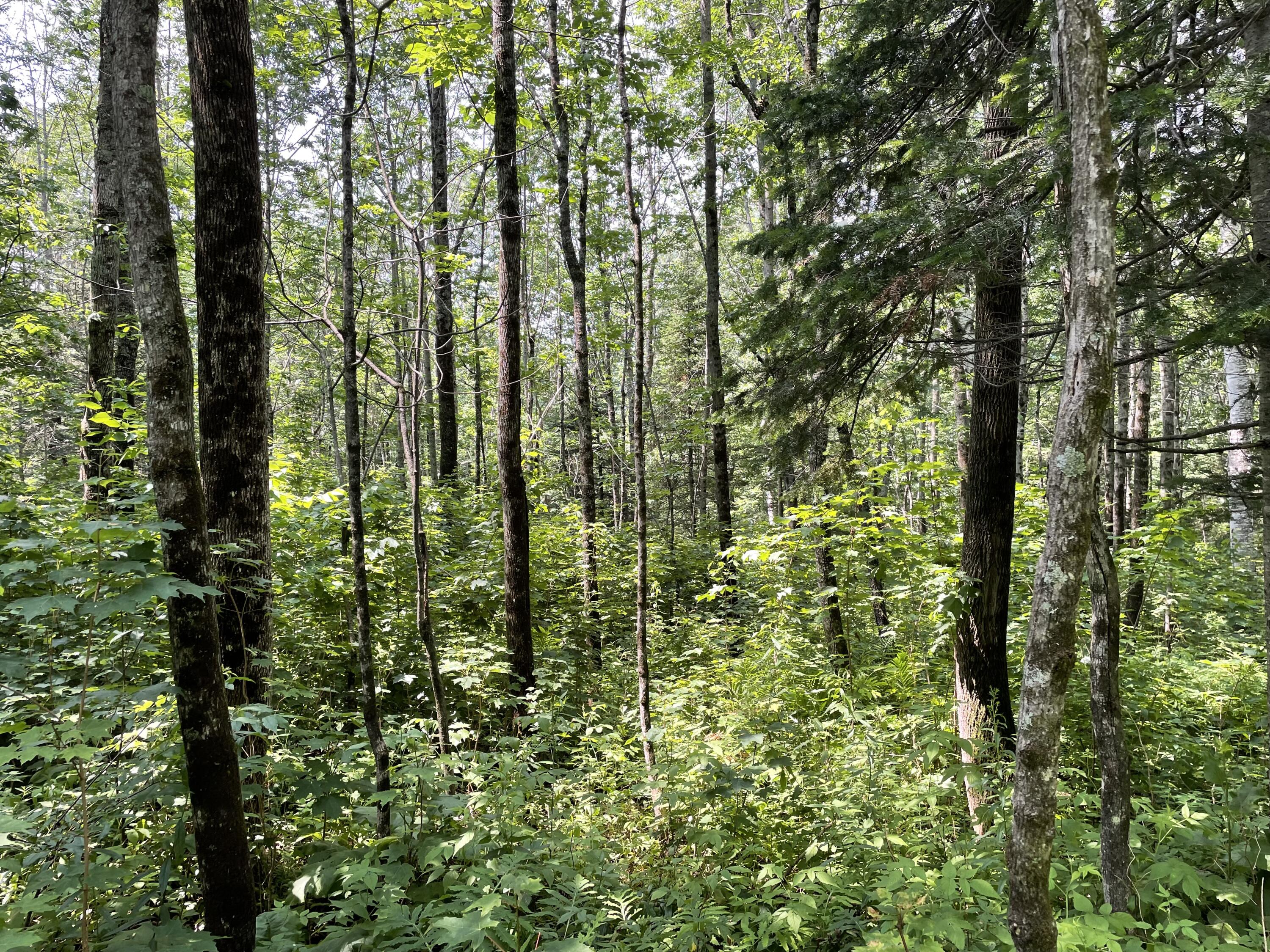 53.1 Center Hill Road Weld ME 04285