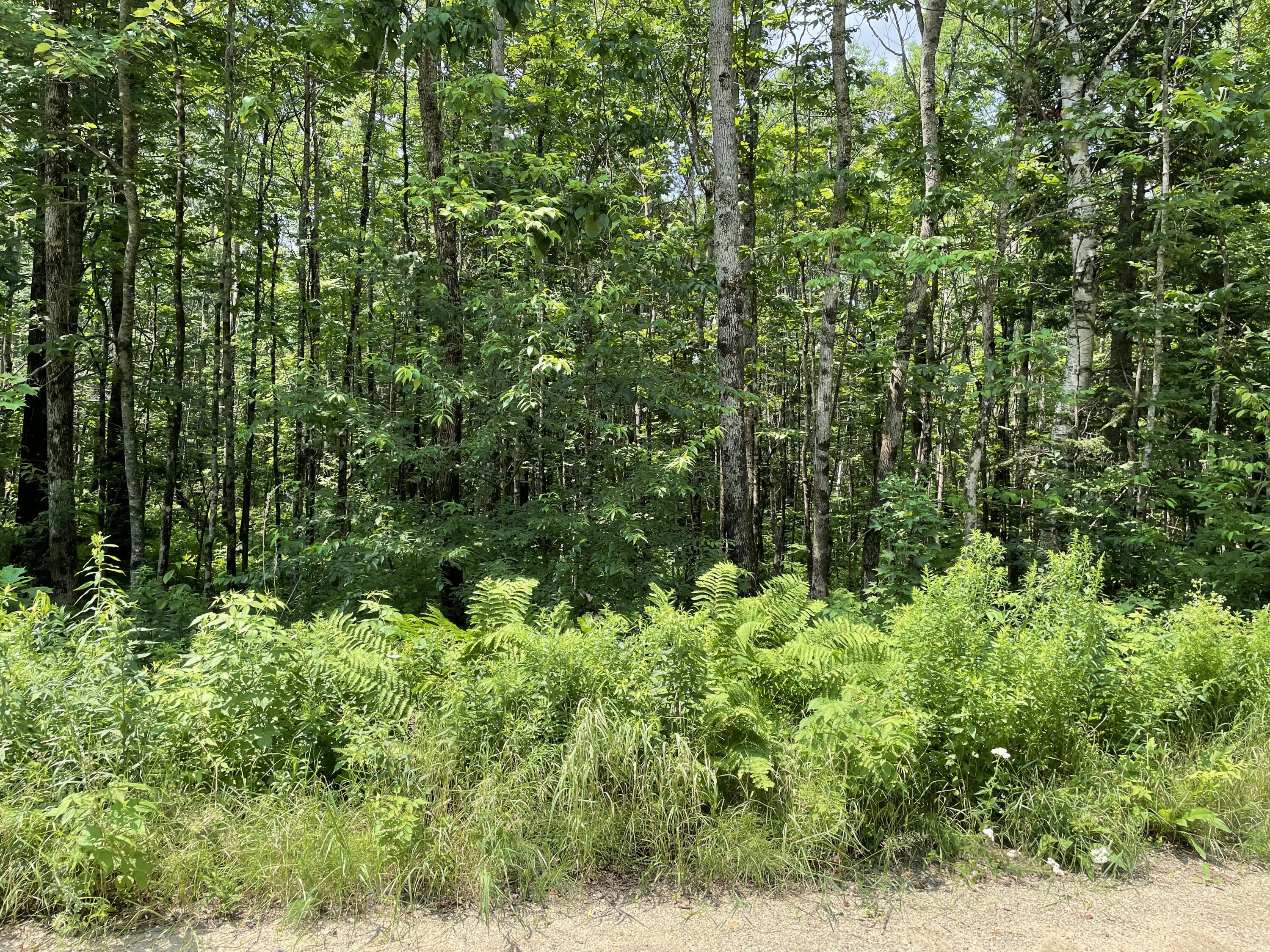 53.1 Center Hill Road Weld ME 04285