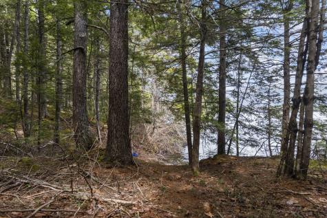 Lot 15b Lake Access Only Southend Liberty ME 04949
