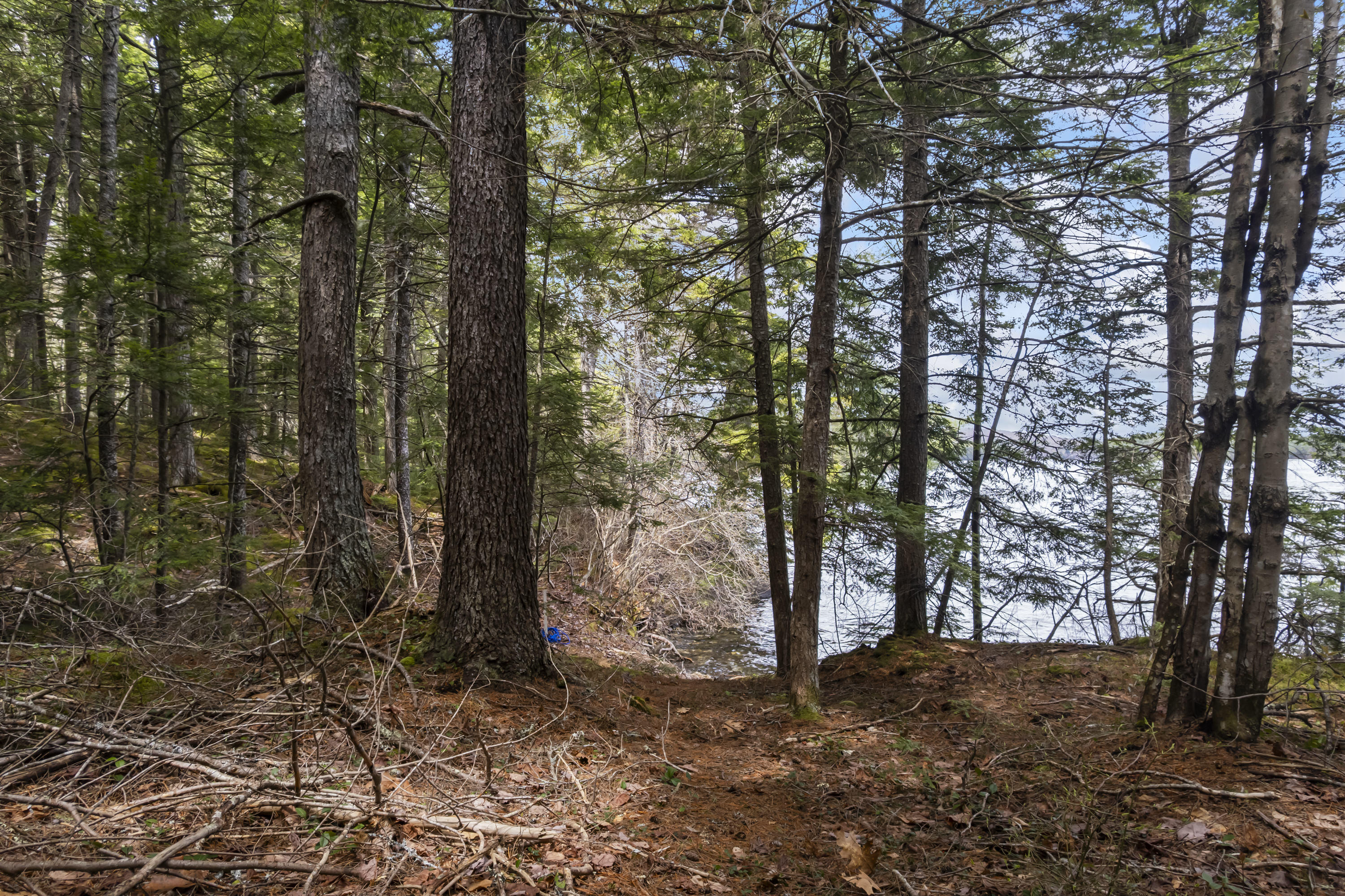 Lot 15b Lake Access Only Southend Liberty ME 04949