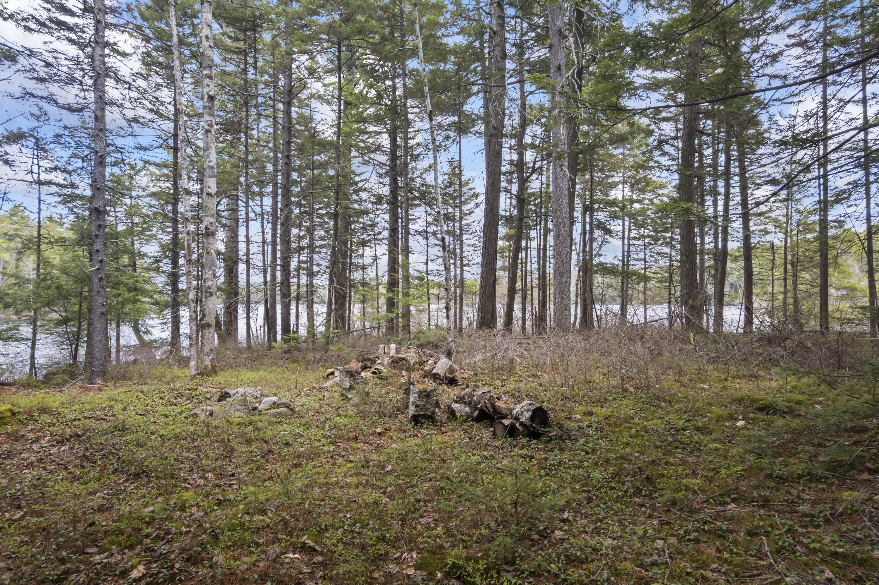 Lot 15b Lake Access Only Southend Liberty ME 04949