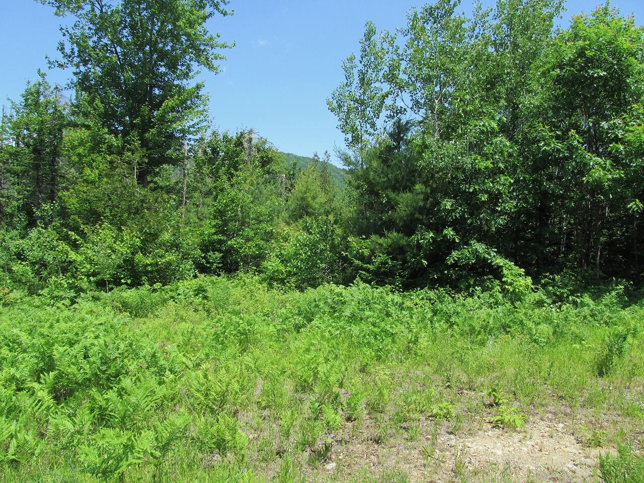 024 Parlin Road Phillips ME 04966