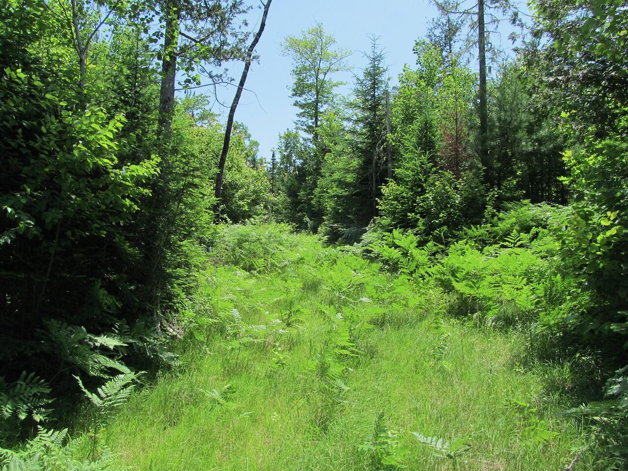 024 Parlin Road Phillips ME 04966