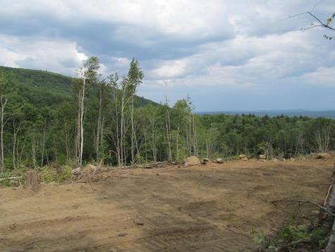 6.61 Mountain Road Aka/hodgdon Road Buckfield ME 04220