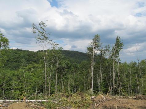 6.61 Mountain Road Aka/hodgdon Road Buckfield ME 04220