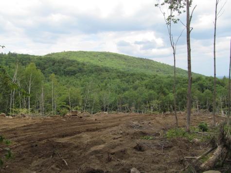 6.61 Mountain Road Aka/hodgdon Road Buckfield ME 04220