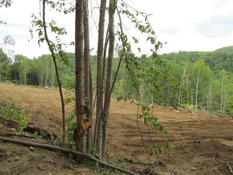 6.61 Mountain Road Aka/hodgdon Road Buckfield ME 04220