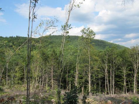 6.61 Mountain Road Aka/hodgdon Road Buckfield ME 04220