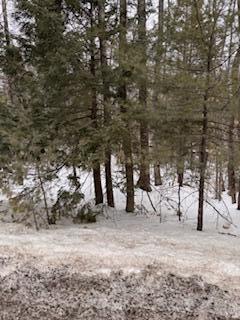 Lot# 0 Roosevelt Trail Naples ME 04055
